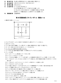 第46回　ソフトボール大会