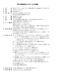 第46回 ソフトボール大会